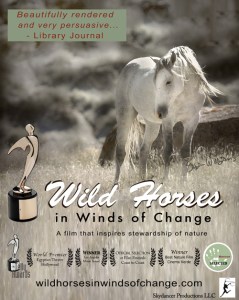 wild_horses