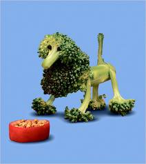 brocolli poodle kidsjpg