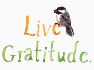 live gratitude