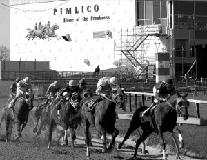 Pimlico-Race-Course---Preakness-Stakes