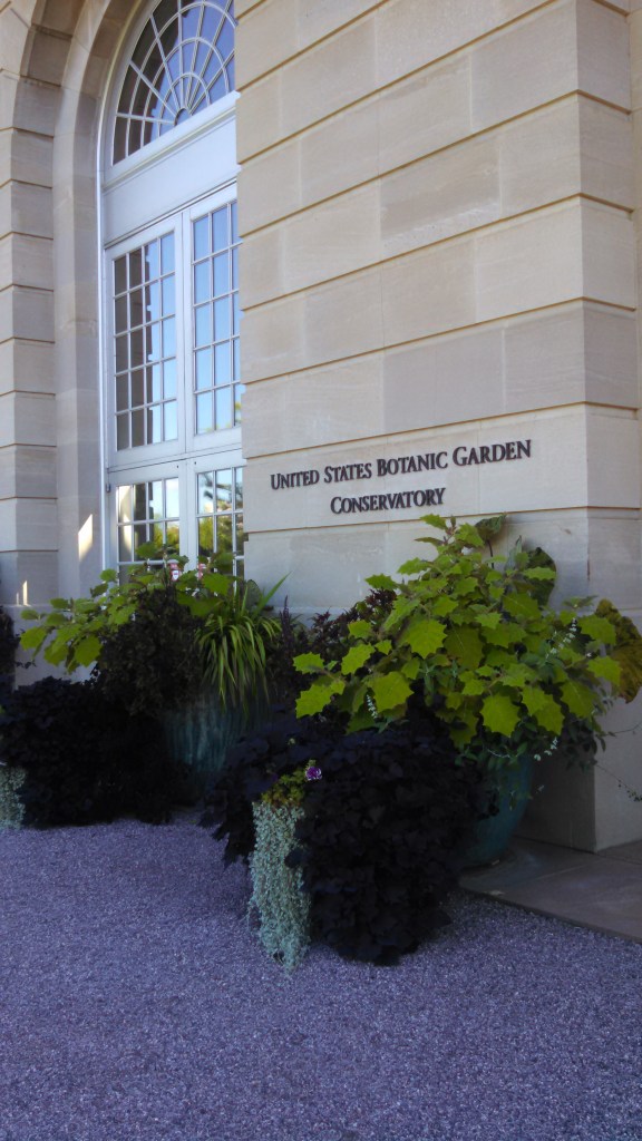 IMG_20141005_110136_793