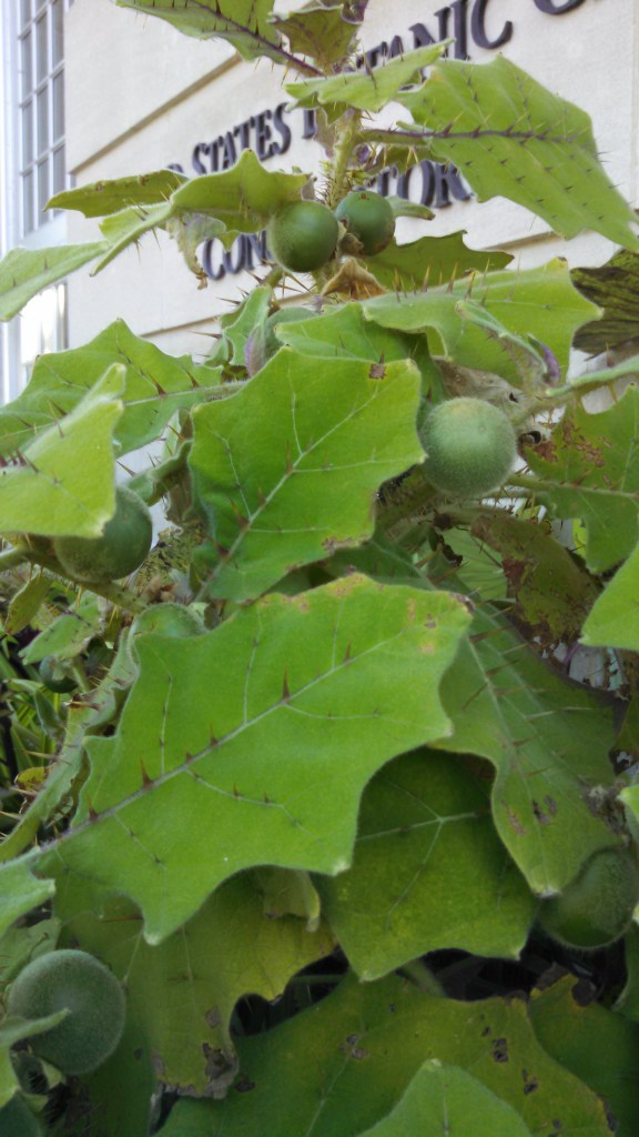 IMG_20141005_110250_455