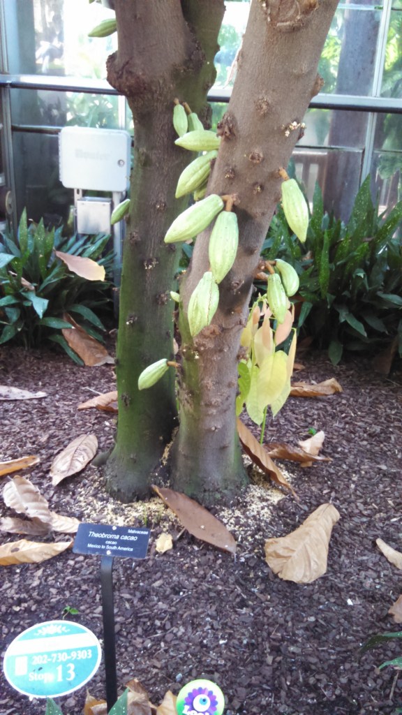 IMG_20141005_111920_873