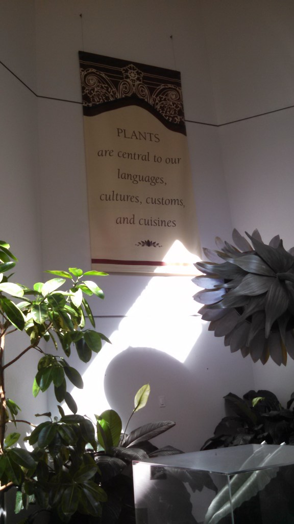 IMG_20141005_112325_188