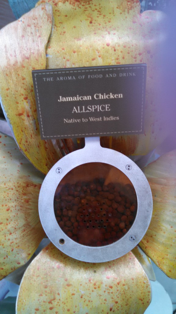 IMG_20141005_112551_291