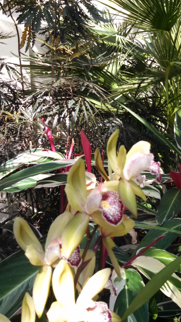 IMG_20141005_112936_669