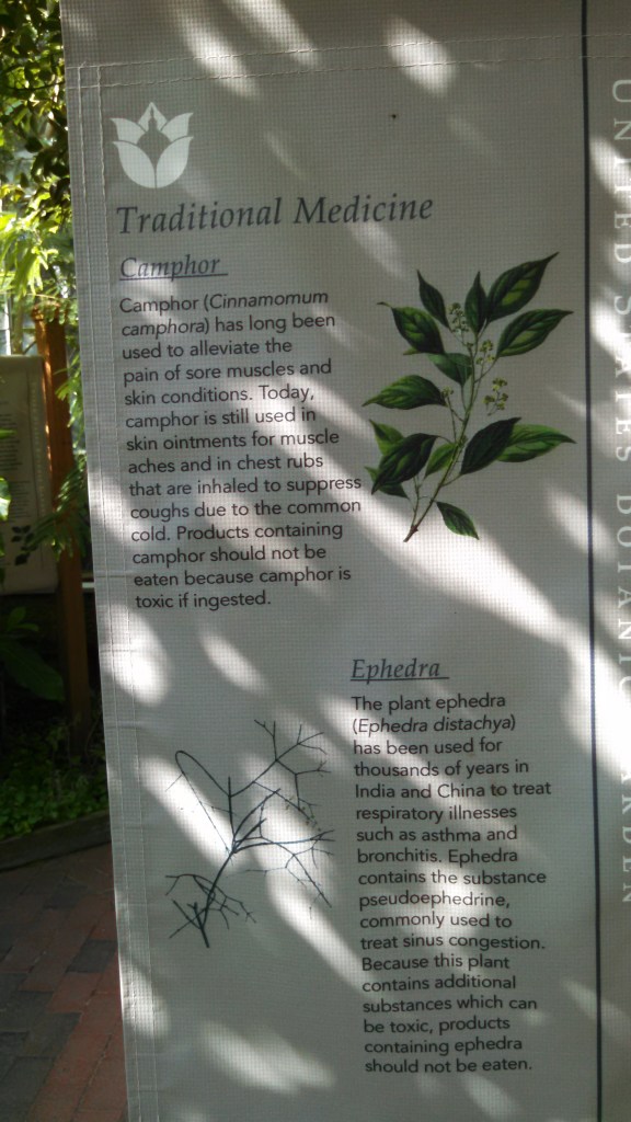 IMG_20141005_113213_130