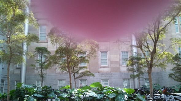 IMG_20141005_143332_662