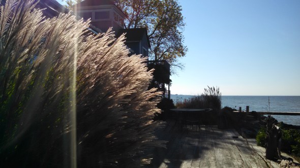 IMG_20141025_103556_906