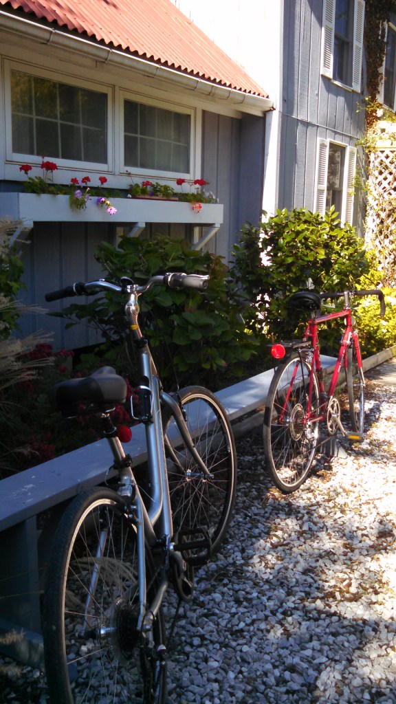 IMG_20141025_114951_971