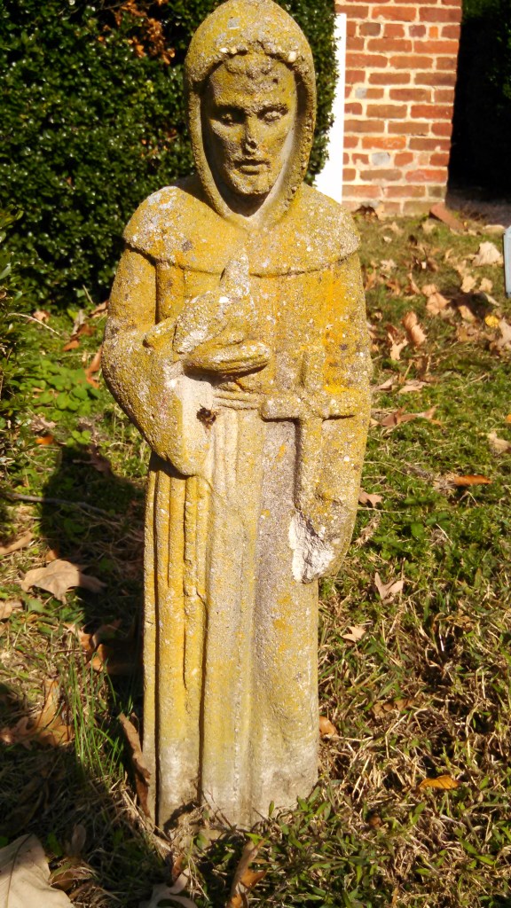 IMG_20141028_113936_689