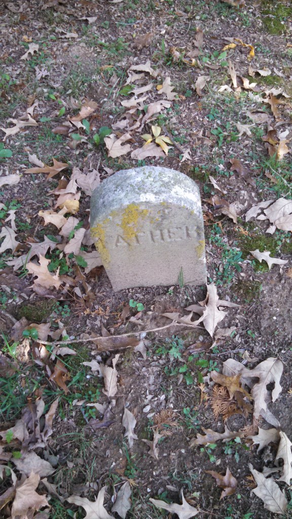 IMG_20141028_114420_973