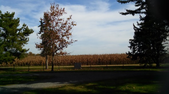 IMG_20141028_114611_052