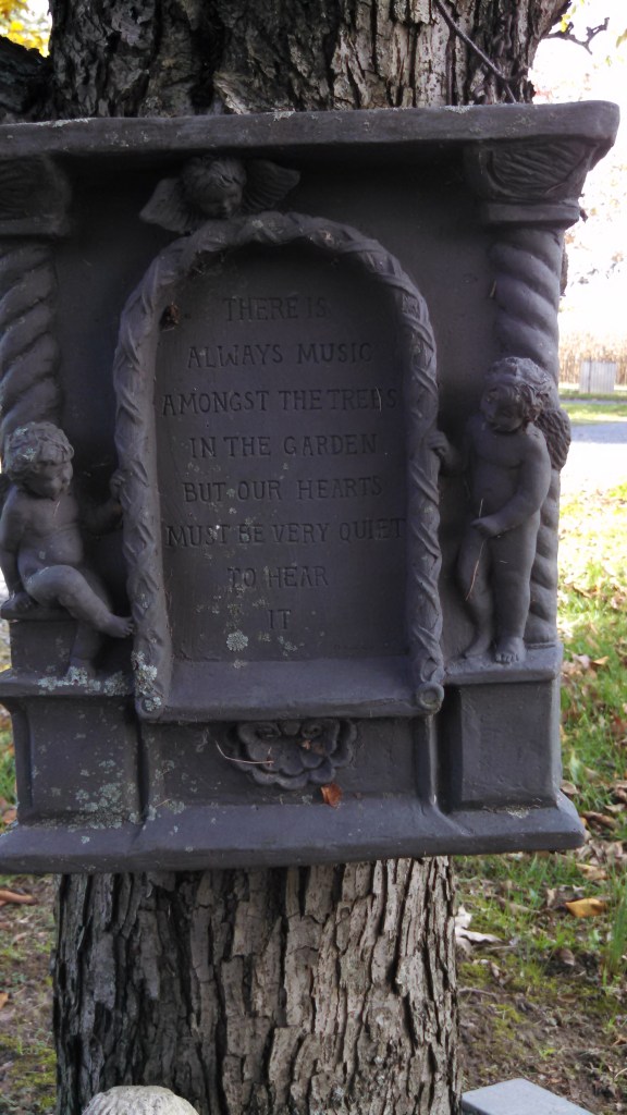 IMG_20141028_114733_618