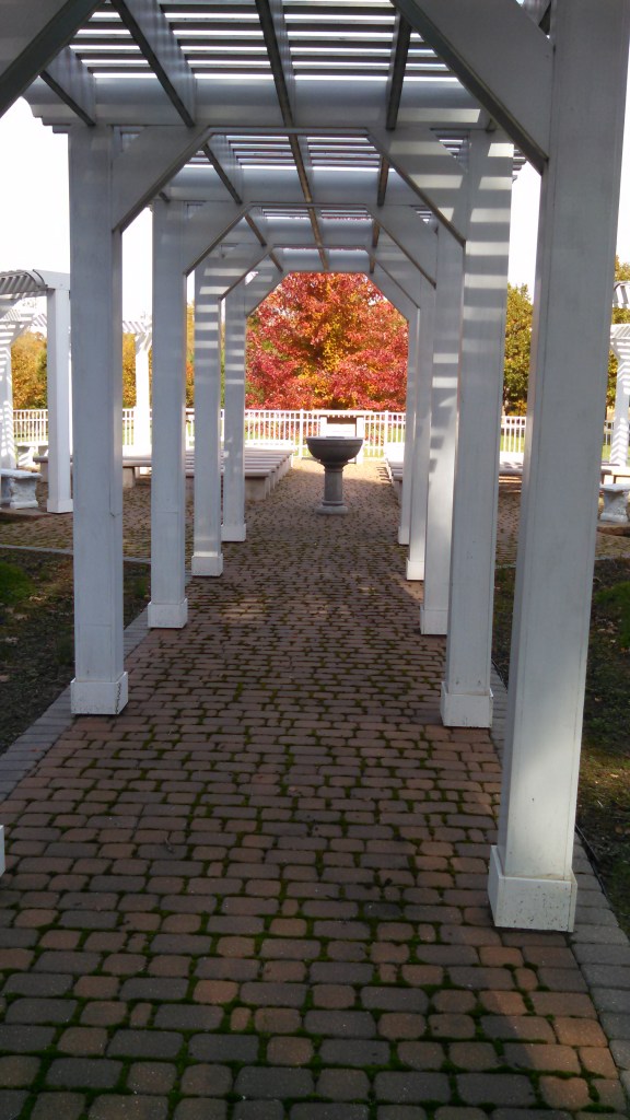 IMG_20141028_114846_813