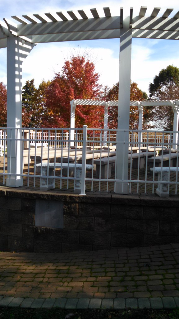 IMG_20141028_115129_101