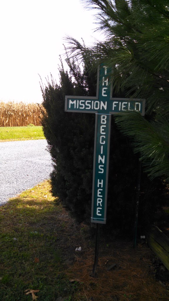 IMG_20141028_120951_353