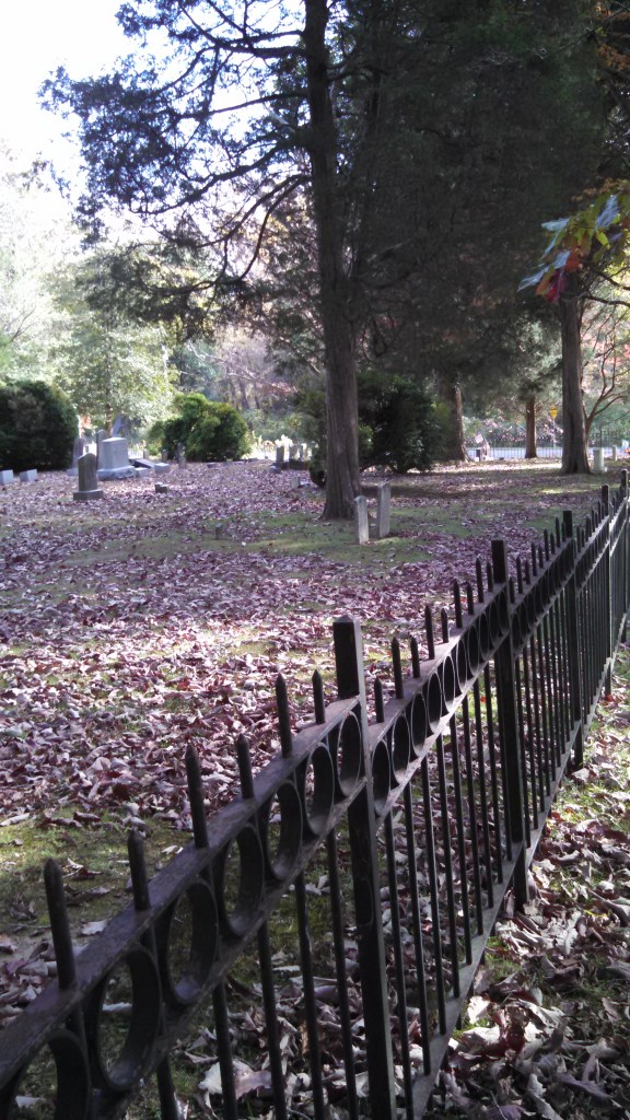 IMG_20141028_150153_927