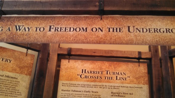 IMG_20141030_132909_127