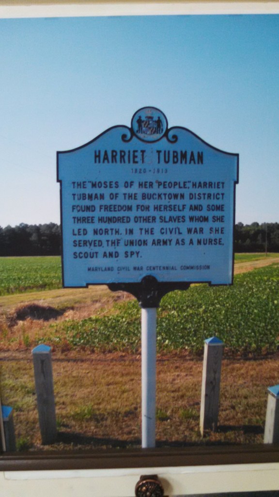 IMG_20141030_134937_248