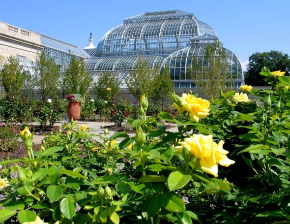 national botanicgarden-washingtondc9