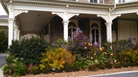 IMG_20141104_115010_741