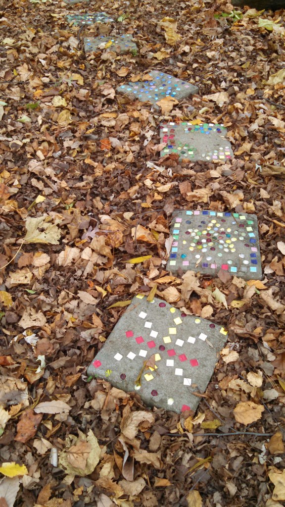 IMG_20141104_120227_064