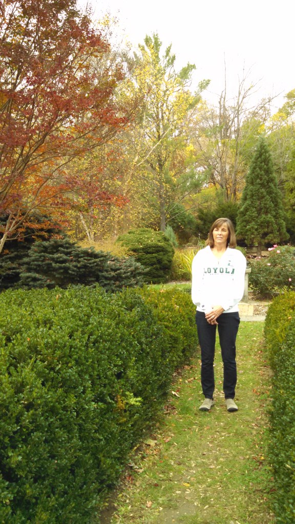 IMG_20141104_120924_411