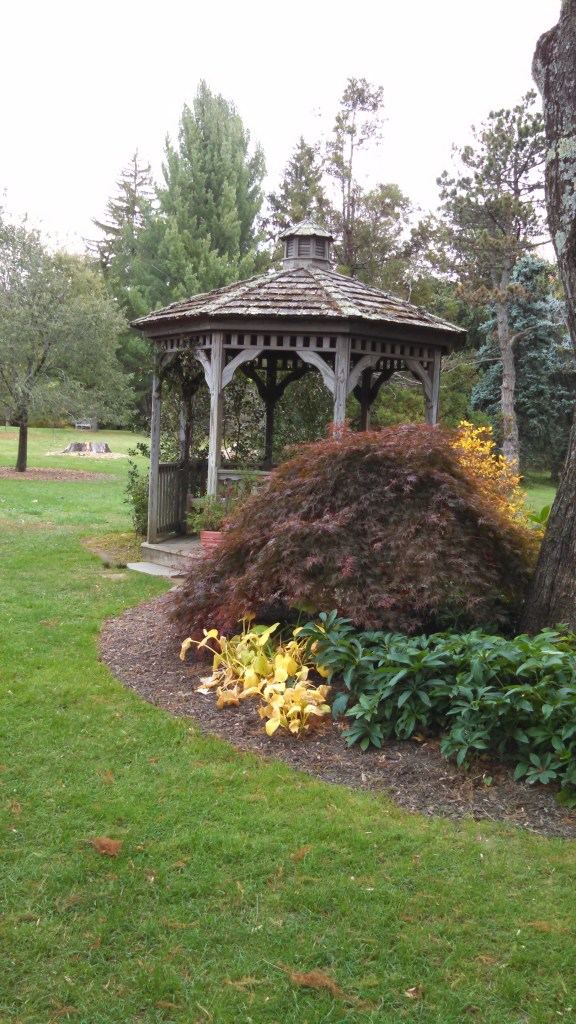 IMG_20141104_122426_017