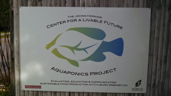 IMG_20141104_123605_587