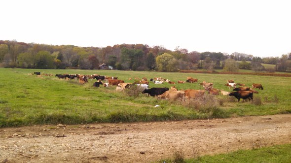 IMG_20141104_135638_890