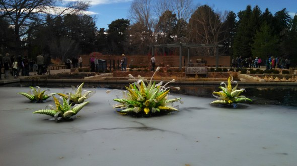 IMG_20141128_123735_276