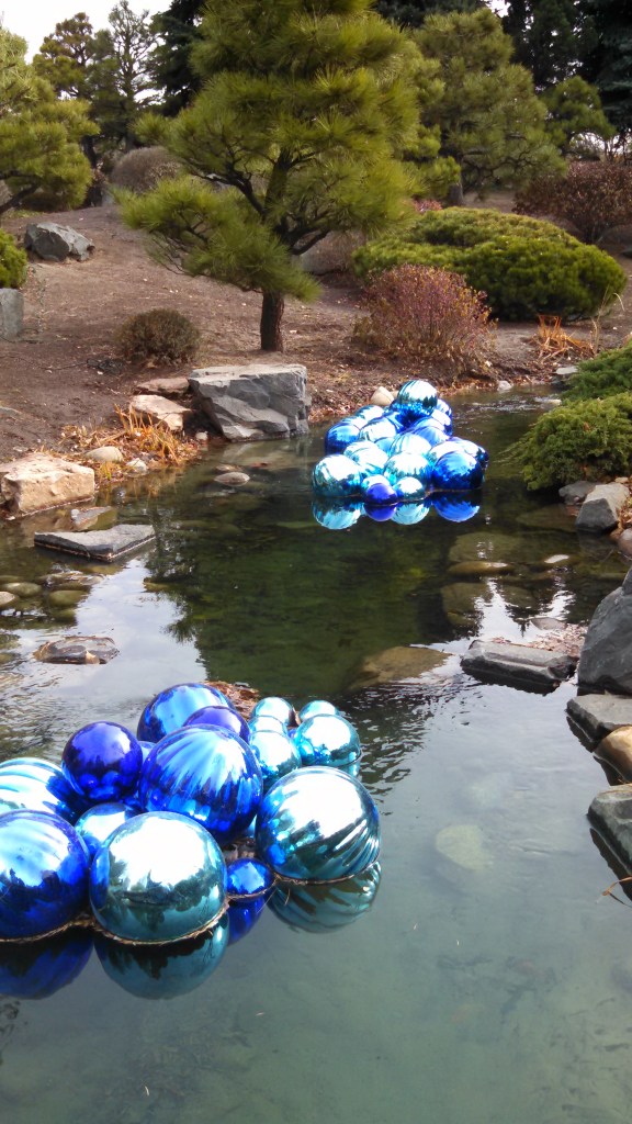 IMG_20141128_125120_632