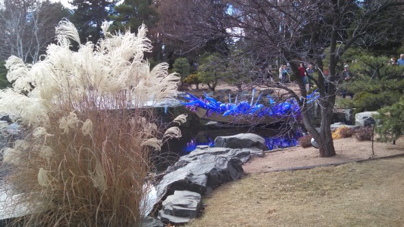 IMG_20141128_125338_827