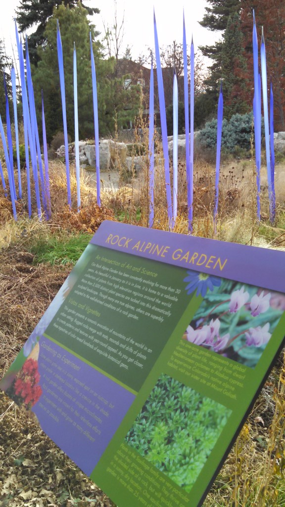 IMG_20141128_130202_308