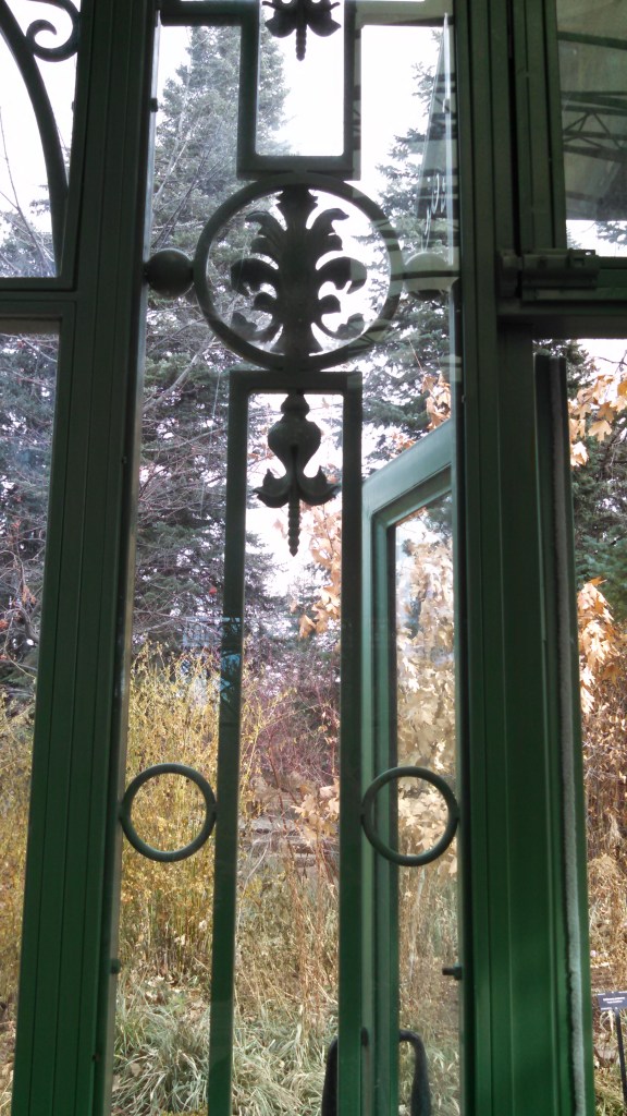 IMG_20141128_132117_923