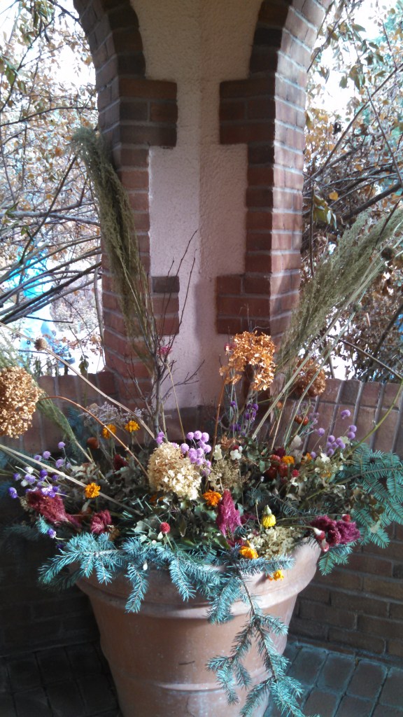 IMG_20141128_134644_393