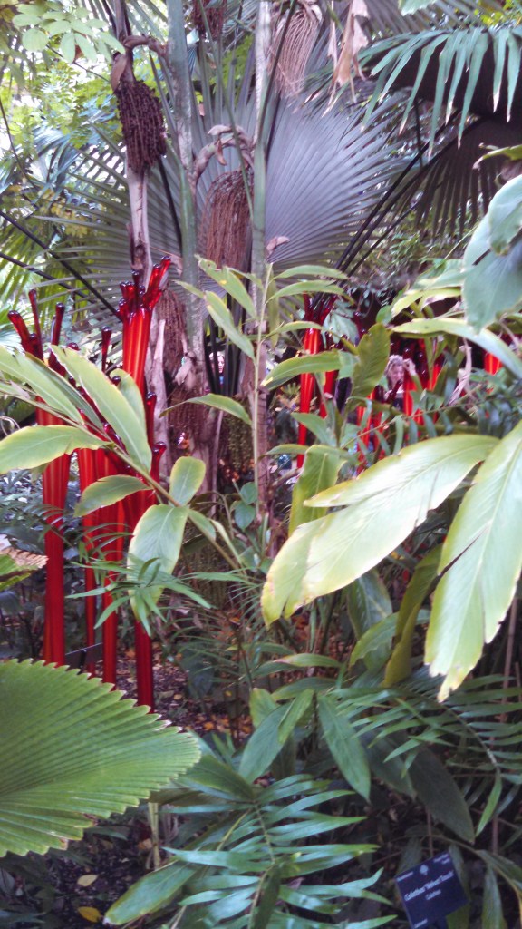 IMG_20141128_141310_154