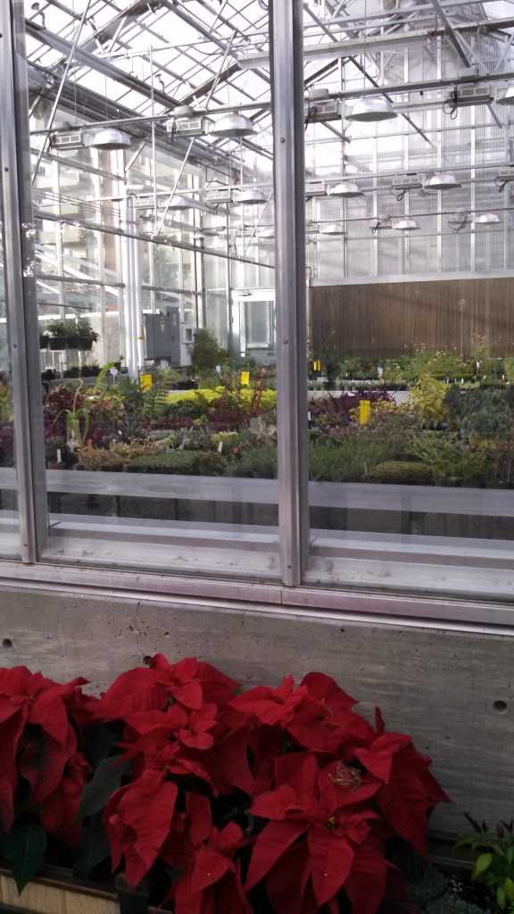 IMG_20141128_151344_773