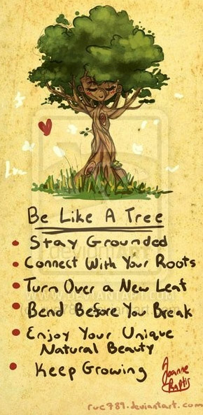 be-like-a-tree-stay-grounded