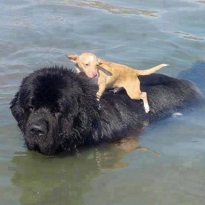 Making the Load Lighter