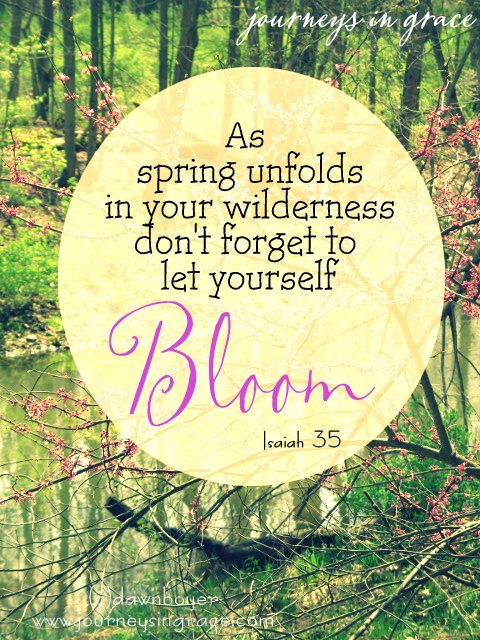 bloom-in-your-spring-season-Isaiah-35
