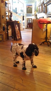 IMG_20150526_111915_634