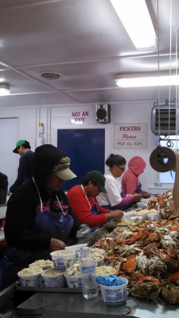 IMG_20150730_061154_377 RESIZED and signed