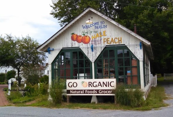 Berlin Peach grocery signed