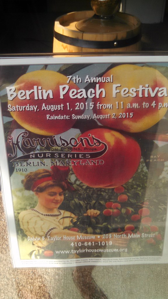 IMG_20150728_094059_091