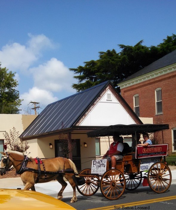 IMG_20150728_102249_009 hore and buggy autog little