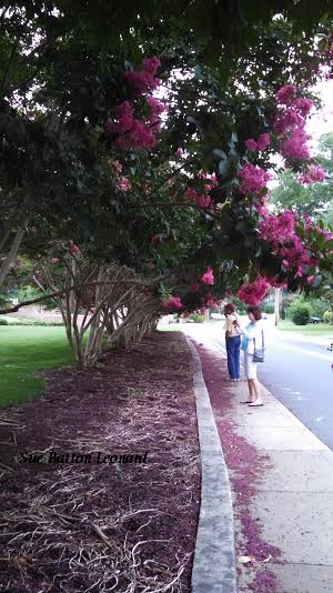 Street &Trees in Berlin signed