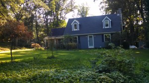 IMG_20150826_161538_417