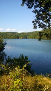 IMG_20150826_164150_279